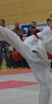 11 Medaillen für Karate Nachwuchs