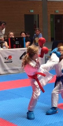 Rhein-Neckar Karateka auf Punktjagt bei KVBW Cup Serie